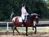 dressage horse Jolie (Hanoverian, 2006, from Worldly I)