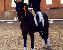 dressage horse Fiona la Douce (Hanoverian, 2009, from Fidertanz)