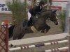 jumper Leopold (German Riding Pony, 2004, from Laudatio)