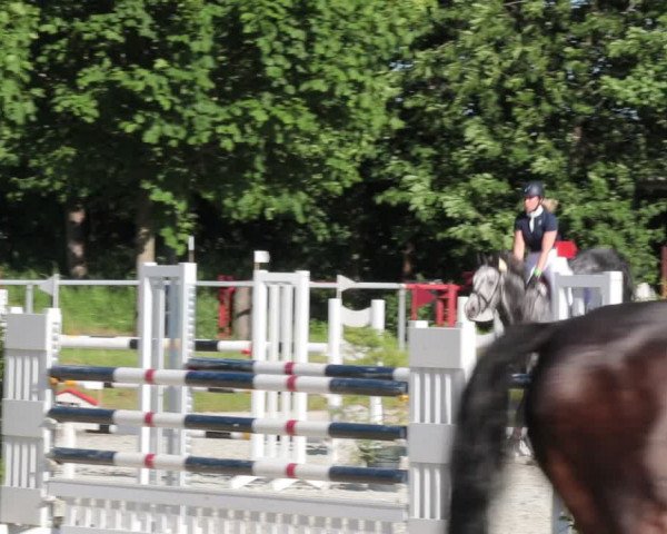 Reitturnier Elmlohe 2021