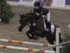 jumper Paul 571 (German Riding Pony, 2004, from FS Pour l'Amour)