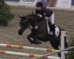 Springpferd Paul 571 (Deutsches Reitpony, 2004, von FS Pour l'Amour)