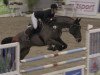 jumper Al Commandos (Hanoverian, 2008, from Stakkato)