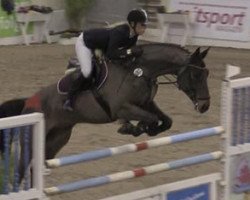 jumper Al Commandos (Hanoverian, 2008, from Stakkato)