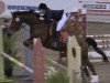 jumper Lorocachi (Oldenburg show jumper, 2004, from Ludwig von Bayern 168 FIN)