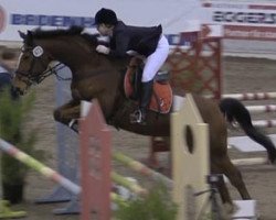 jumper Lorocachi (Oldenburg show jumper, 2004, from Ludwig von Bayern 168 FIN)