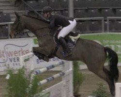 jumper De Fritz (Hanoverian, 2005, from Der Lenz)