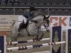 jumper Chiqua 2 (Hanoverian, 2007, from Calido I)