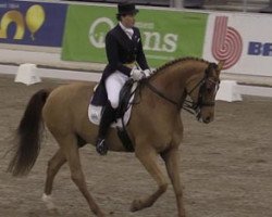 dressage horse Willow (Hanoverian, 2000, from Welser)