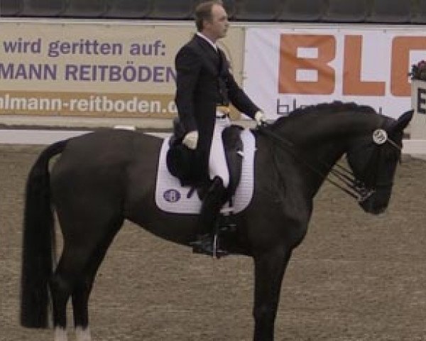 dressage horse Riva del Garda M (Hanoverian, 2007, from Rotspon)