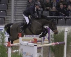 jumper Wow 5 (German Sport Horse, 2008, from Casall Ask)