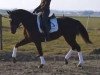 dressage horse Penny Luck (Bavarian, 2009, from Franz Joseph)