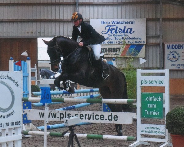 jumper Firefly 37 (Hanoverian, 2008, from For Edition)