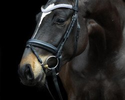 dressage horse Donna Doria (Oldenburg, 2011, from Dancing Hit)