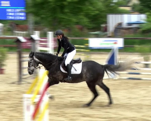 Reitturnier Schönfeld 2021