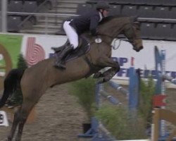 jumper Centano 9 (Hanoverian, 2007, from Chalan)