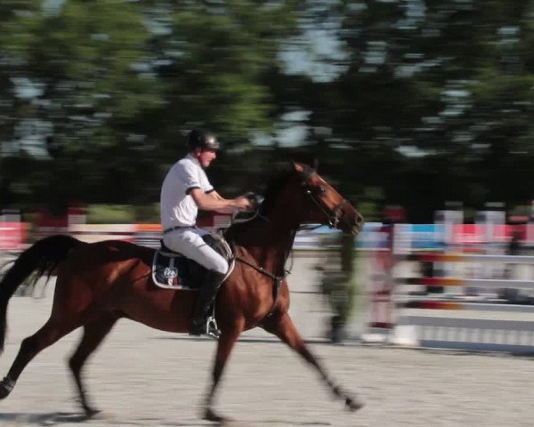 Reitturnier Elmlohe 2021