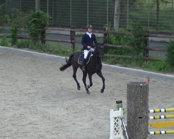 Reitturnier Monheim - Gut Blee 2021
