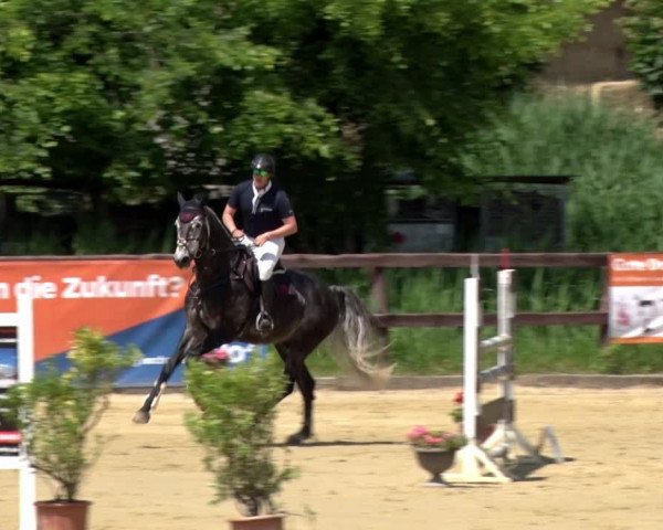 Reitturnier Schönfeld 2021