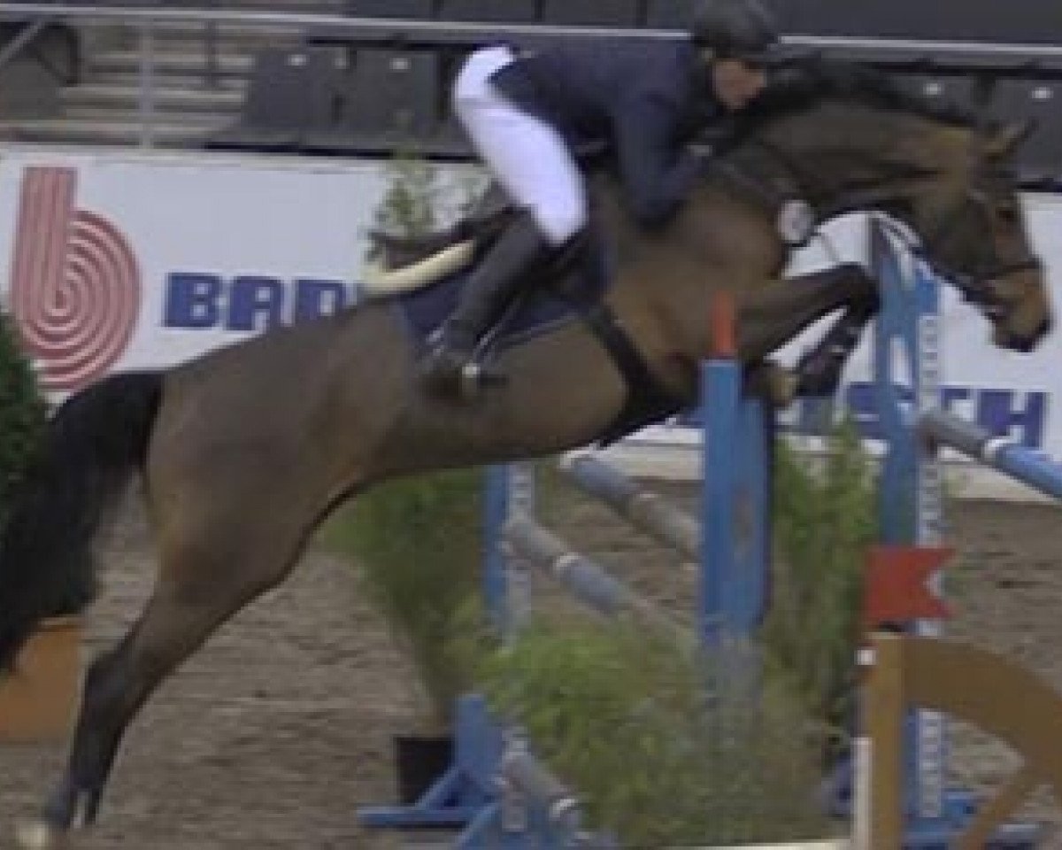 jumper Townhead Chatswin R (Westphalian, 2003, from Cornet Obolensky)