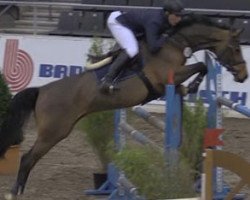 jumper Townhead Chatswin R (Westphalian, 2003, from Cornet Obolensky)