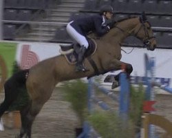 jumper Chacciama (Oldenburg show jumper, 2007, from Chacco-Blue)