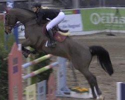 jumper Cool-Concept (Hessian Warmblood, 2002, from Carnando)