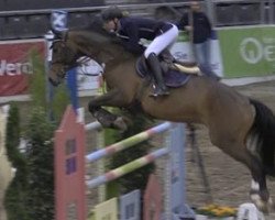 broodmare Esperanza 72 (Hanoverian, 2005, from El Bundy)