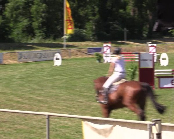 Reitturnier Reitstadion Löbnitz 2021