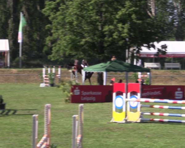 Reitturnier Reitstadion Löbnitz 2021