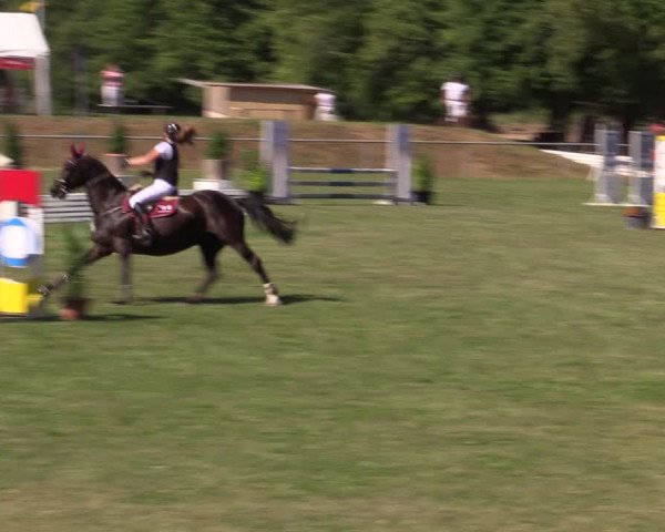 Reitturnier Reitstadion Löbnitz 2021