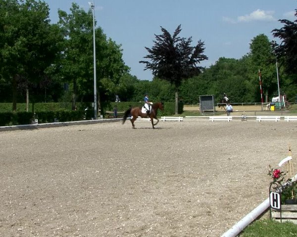 Reitturnier Fröndenberg 2021