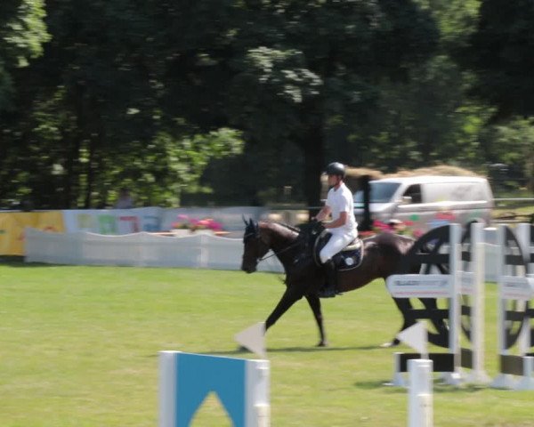 Reitturnier Nienburg 2021