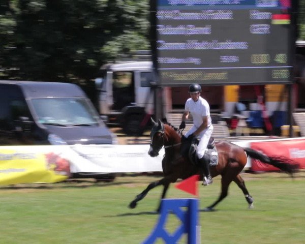 Reitturnier Nienburg 2021