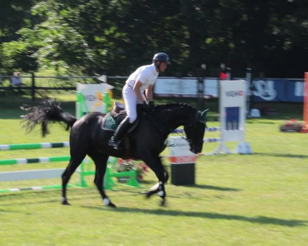 Reitturnier Nienburg 2021