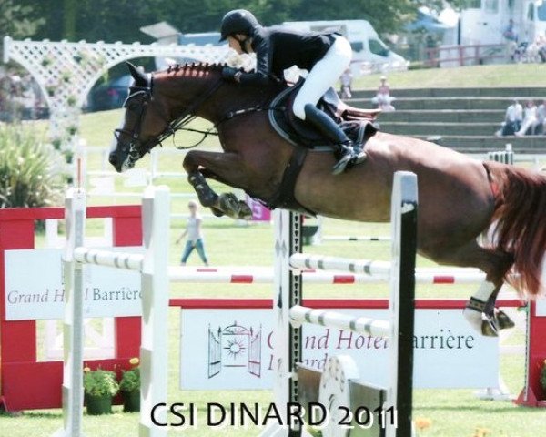 broodmare Uni-Happy du Pachis (Belgium Sporthorse, 2004, from Ogano Sitte)