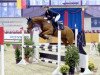 jumper Laokoon 16 (Hanoverian, 2010, from Lordanos)