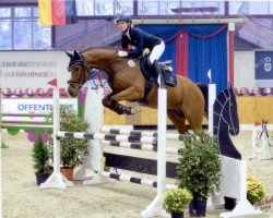 jumper Laokoon 16 (Hanoverian, 2010, from Lordanos)