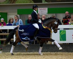 Deckhengst Tackmanns Don Alonso NRW (Deutsches Reitpony, 2009, von Der feine Lord AT)