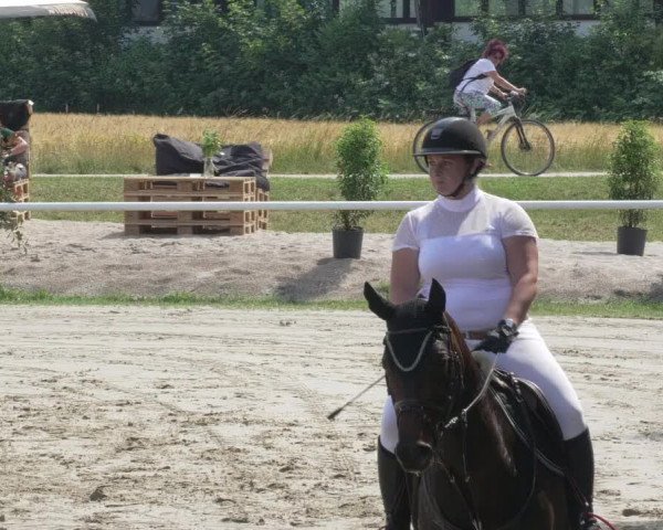 Reitturnier Biebesheim 2021