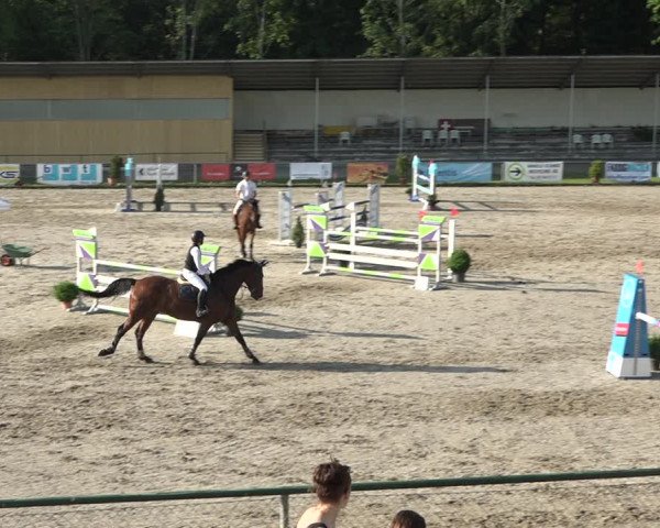 Reitturnier Schaffhausen 2021