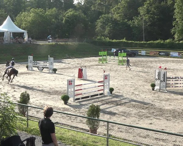 Reitturnier Schaffhausen 2021