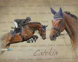 broodmare Catokia 3 (Holsteiner, 2006, from Catoki)