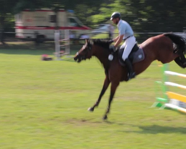 Reitturnier Nienburg 2021