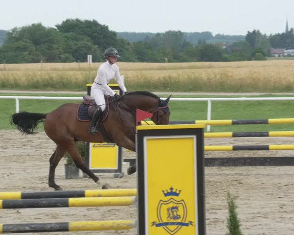 Reitturnier Biebesheim 2021