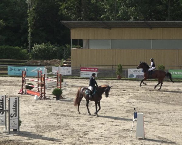 Reitturnier Schaffhausen 2021