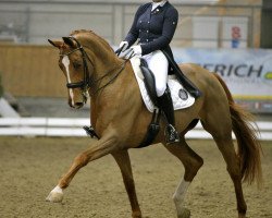 dressage horse Parole (Bavarian, 2004, from Pasolongo)