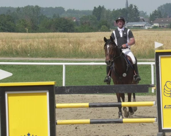Reitturnier Biebesheim 2021