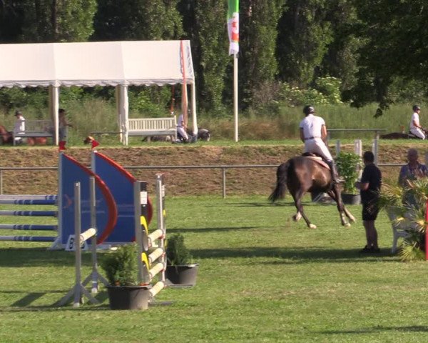 Reitturnier Reitstadion Löbnitz 2021