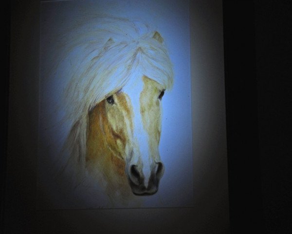 horse Sólfari von Hermannsburg (Iceland Horse, 1989, from Haukur fra Holi)